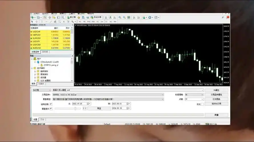 有没有MT4手机版的中文版？‌